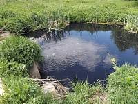 В пяти районах Ивановской области ребром стоит вопрос с загрязнением рек